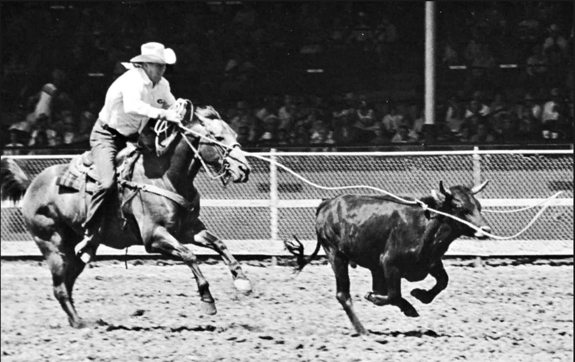 a man on a horse steer roping a calf at a competition