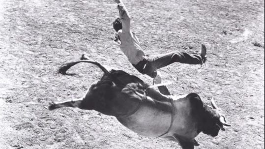 a cowboy being bucked off of a bull in a rodeo