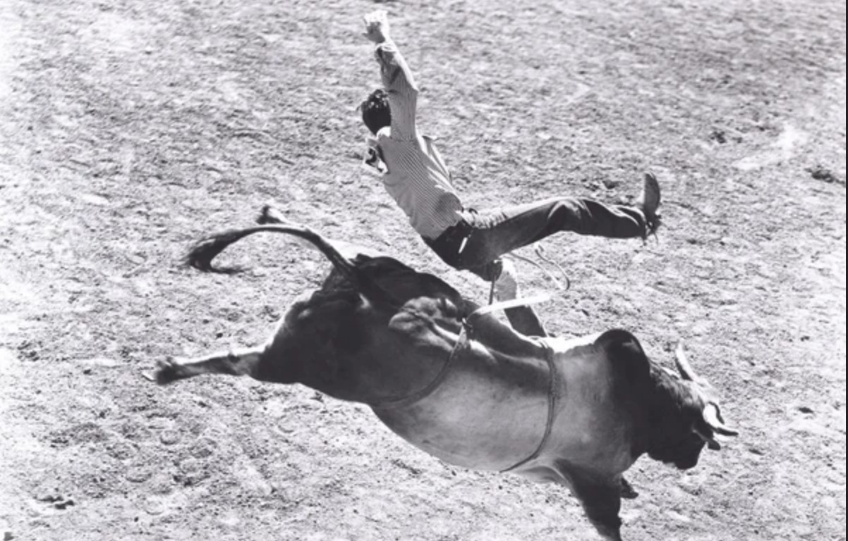 a cowboy being bucked off of a bull in a rodeo